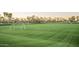 Expansive, well-groomed soccer field with pristine green grass and soccer goals at 4266 E Blue Sage Ct, Gilbert, AZ 85297