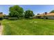 Spacious backyard with green lawn and mature trees between homes at 12719 W Ashwood Dr, Sun City West, AZ 85375