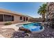 Backyard swimming pool featuring rock accents and a lush palm tree, all under a clear blue sky at 1343 W San Carlos Pl, Chandler, AZ 85248