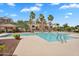 Inviting community pool with lush landscaping, palm trees, and nearby lounge chairs for relaxing by the water at 1727 E Chelsea Ln, Gilbert, AZ 85295