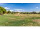 Expansive green space with various trees and community homes in the background at 2191 W Goldmine Mountain Dr, Queen Creek, AZ 85144