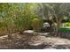 Beautiful backyard with lush landscaping and mature trees, creating a serene and private outdoor space at 24434 S 201St Ct, Queen Creek, AZ 85142