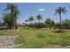 A well-maintained community park with green grass, tall palm trees, and a picturesque setting at 3098 E Stottler Dr, Gilbert, AZ 85296