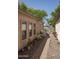 Side exterior view of the house with a stone walkway, potted plants, and trees in the background at 3098 E Stottler Dr, Gilbert, AZ 85296