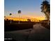 Stunning community showcasing palm trees and lush landscaping at sunset and a beautiful clubhouse at 3139 E Runaway Bay Pl, Chandler, AZ 85249
