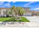 Exterior front view showcasing a large, well manicured lawn with mature palm trees and a paved driveway at 3139 E Runaway Bay Pl, Chandler, AZ 85249