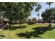 Scenic grounds with lush greenery, mature trees, and a clear blue sky backdrop at 3150 E Beardsley Rd # 1023, Phoenix, AZ 85050