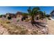 Well maintained backyard featuring desert landscaping, rock ground cover, and mature plants and trees at 3301 S Goldfield Rd # 6050, Apache Junction, AZ 85119