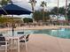 Community pool with seating and umbrellas surrounded by palm trees and landscaping at 3301 S Goldfield Rd # 6050, Apache Junction, AZ 85119