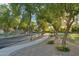 Scenic street view of a tree-lined street with sidewalks, creating a pedestrian-friendly and inviting atmosphere at 3574 E Latham Way, Gilbert, AZ 85297