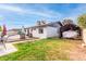Beautiful backyard showcasing a well-kept lawn and covered vehicle storage at 4441 W Windrose Dr, Glendale, AZ 85304