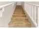 Carpeted staircase with white railings leads to the upper level at 4853 S Charger --, Mesa, AZ 85212