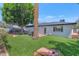 Expansive backyard featuring well-maintained artificial grass and mature trees for outdoor enjoyment and relaxation at 6207 E Rose Circle Dr, Scottsdale, AZ 85251