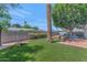 Well-maintained backyard with green artificial turf, a patio area, and a tall palm tree at 6207 E Rose Circle Dr, Scottsdale, AZ 85251