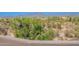Serene view of lush desert landscaping and distant mountains, offering a peaceful and scenic backdrop at 8606 E Arroyo Seco Rd, Scottsdale, AZ 85266