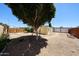 Backyard features gravel cover and mature tree at 10951 N 91St Ave # 16, Peoria, AZ 85345