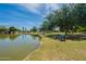Serene park view with lakeside benches, lush greenery, and walking paths for outdoor enjoyment at 11526 W Bermuda Dr, Avondale, AZ 85392