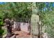 Landscaped backyard featuring desert plants like large Saguaro cacti and stone wall fencing at 14717 N 97Th Pl, Scottsdale, AZ 85260