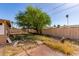 Backyard featuring wooden fence and mature tree, offering a private outdoor space and shade at 2114 N 69Th Pl, Scottsdale, AZ 85257