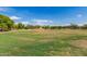 Expansive green field with scattered trees, providing space for recreation, relaxation and community events at 2152 W Sunshine Butte Dr, San Tan Valley, AZ 85144