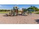 Community playground with slides, climbing structures and shaded picnic area offer recreation for all ages at 2152 W Sunshine Butte Dr, San Tan Valley, AZ 85144