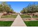 Beautifully landscaped front yard featuring mature trees lining the walkway, leading to a charming home at 24953 N 172Nd Dr, Surprise, AZ 85387