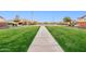 Spacious front yard with well-maintained lawn and sidewalk, offering a welcoming view of the neighborhood homes at 24953 N 172Nd Dr, Surprise, AZ 85387