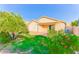 Spacious backyard featuring a covered patio, green lawn, mature trees, and colorful bushes at 2783 E Mineral Park Rd, San Tan Valley, AZ 85143