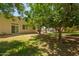 Lush backyard with mature trees providing shade, a view of the pool and house with sliding glass door at 3964 S Turquoise Dr, Buckeye, AZ 85326