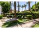 Community outdoor grilling area features lush landscaping, benches, and well-maintained grills at 4343 N 21St St # 158, Phoenix, AZ 85016