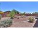 This backyard features raised garden beds and decorative rocks at 44092 W Stonecreek Rd, Maricopa, AZ 85139