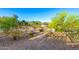Picture of desert landscaping with cacti, plants and trees on a sand and gravel lot at 47719 N Camino Del Sol --, Gold Canyon, AZ 85118