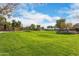 Expansive green space with manicured lawn and mature trees, creating a serene park-like setting at 6918 E Ivyglen St, Mesa, AZ 85207