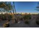 Desert backyard landscape showcasing native plants and a view of the distant mountains at 8248 E Arroyo Hondo Rd, Scottsdale, AZ 85266