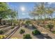 Lush backyard landscape featuring desert plants, mature trees, and a view of the mountains in the background at 8248 E Arroyo Hondo Rd, Scottsdale, AZ 85266