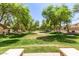 Lush community green space with mature trees and manicured lawn providing a serene environment at 850 W Folley St, Chandler, AZ 85225