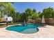 Backyard pool with a baja shelf, basketball hoop, mature trees, and artificial turf at 850 W Folley St, Chandler, AZ 85225