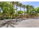 Beautiful tree-lined street with lush green landscape and well-maintained sidewalks at 850 W Folley St, Chandler, AZ 85225