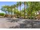 Scenic street view showcases mature trees and lush landscaping enhancing the community's appeal at 850 W Folley St, Chandler, AZ 85225