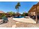 Serene backyard featuring a sparkling pool, lounge chairs, and mature palm trees at 8555 W Purdue Ave, Peoria, AZ 85345