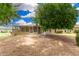 Large backyard with manicured lawn, covered patio, lush greenery and mature tree at 9805 W Gulf Hills Dr, Sun City, AZ 85351