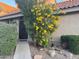 Cozy front door with desert landscaping and mature flowering shrub at 1001 N Pasadena St # 162, Mesa, AZ 85201