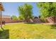 Lush backyard featuring a well-maintained lawn and mature trees at 10228 E Carol Ave, Mesa, AZ 85208