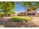 The backyard boasts a large grassy area, mature trees, and a covered patio for outdoor enjoyment at 10228 E Carol Ave, Mesa, AZ 85208