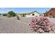 Backyard with gravel, cactus, decorative fountain, and covered patio at 1051 S 81St Way, Mesa, AZ 85208