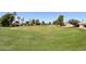 Well-manicured green on community golf course under clear blue skies at 1051 S 81St Way, Mesa, AZ 85208