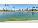 Expansive lake view featuring community landscaping and waterfront homes at 1051 S 81St Way, Mesa, AZ 85208