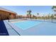 Community pickleball court enclosed by a fence, with palm trees nearby at 1051 S 81St Way, Mesa, AZ 85208