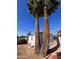 Backyard with white shed, desert landscaping including palm trees and blue skies at 1222 E Almeria Rd, Phoenix, AZ 85006