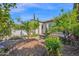 Lush front yard landscaping with mature citrus trees and stone accents framing the charming property at 1768 E Grand Ridge Rd, Queen Creek, AZ 85140